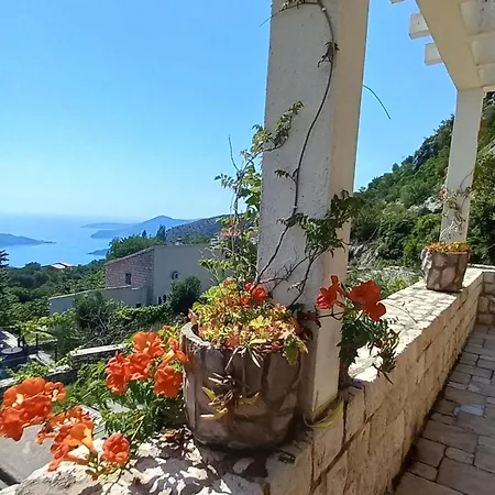 Lidija * Budva