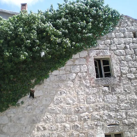 Lidija Budva