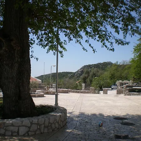 Semesterbostad Lidija Budva