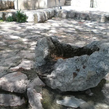Lidija Budva
